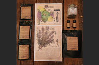 HERBS, OILS, FLOWERS AND ITEMS TO FILL YOUR PANTRY                                                                                          