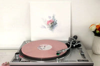 Indie Vinyl Record Compilation Box