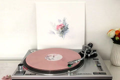 Indie Vinyl Record Compilation Box