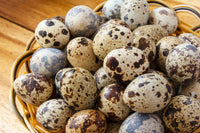 24 Fresh Quail Eggs