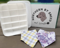 Northern By Sneed Monthly Dog Bandana Subscription