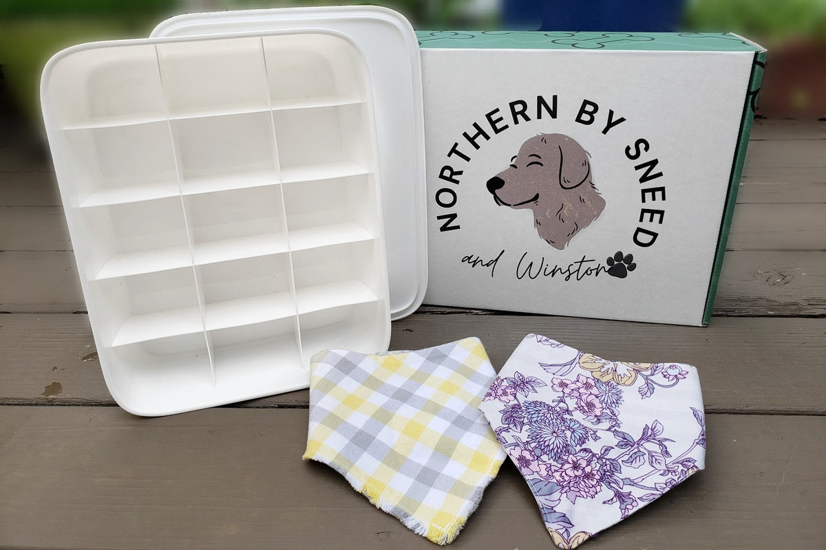 Northern By Sneed Monthly Dog Bandana Subscription