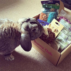 Happy Bunny Club Box