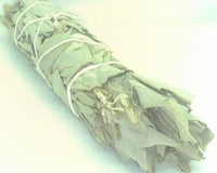 Treasure Yourself with Twilight's Treasures