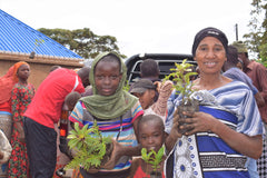 You Plant We Plant Trees, Grow Trees and We'll Plant 30 More