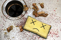 Sponge Club Monthly Subscription