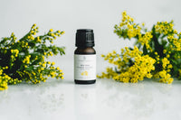 Collectors Club . 100% Pure Essential Oils . Set of 6 . Curated Each Month
