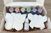 Paint Your Own Bath Bomb Kit
