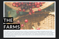 Sustainable Coffee Membership