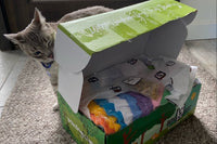 BoxCat Giant Seasonal Cat Subscription Box