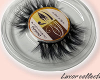 LASH A-TEN DELUXE ROYALTY BOX