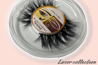 LASH A-TEN DELUXE ROYALTY BOX