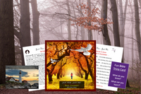 christian devotional, traditional hymns, hymn CD, amazing grace, oh come all ye faithful,worship at home, gift for christian, relaxing music
