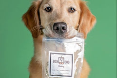 BoxDog - Monthly Dog Subscription Box with 100% Handmade Treats & 2 Dog Toys: Medium Dog 21-50lb