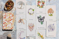 Empowering Oracle Box