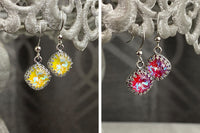 European Crystal Earrings