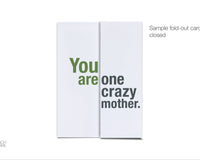 FINCH and HARE Quarterly Fun Pack!