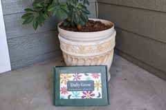 Daily Grow