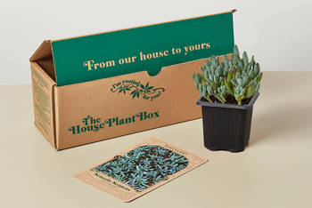 plant house box House Plant Box