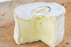The Original Gourmet Cheese Club
