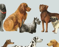 Paper Napkins Mixed Pack for Decoupage Crafters