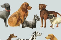 Paper Napkins Mixed Pack for Decoupage Crafters