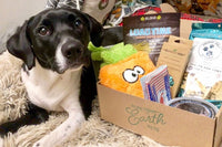 Pure Earth Pets Eco Friendly Dog Box