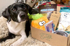 Pure Earth Pets Eco Friendly Dog Box