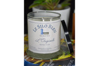Sea Salt and lily candle with black lid resting on the side of the candle. They are on a stack of French magazines with potted plants behind