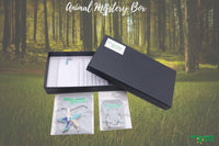 Helping Animals At Risk Animal Jewelry Mystery Box
