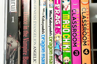 Manga Mystery Box - 5 or 10 Books - Shojo, Shonen, Mature or Mix! Free Shipping!