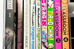 Manga Mystery Box - 5 or 10 Books - Shojo, Shonen, Mature or Mix! Free Shipping!