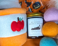 Regular Pets & Plants Box for dog and cat lovers