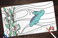 Colorbook Mystery Coloring Playmat Subscription