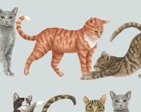 Paper Napkins Mixed Pack for Decoupage Crafters