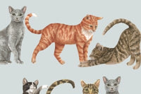 Paper Napkins Mixed Pack for Decoupage Crafters