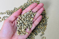 Unroasted Coffee Bean Monthly Subscription (14 oz)