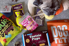 Premium Pug Box