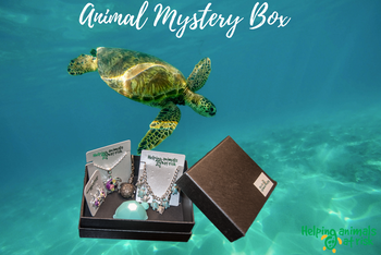 Helping Animals At Risk Animal Mystery Box