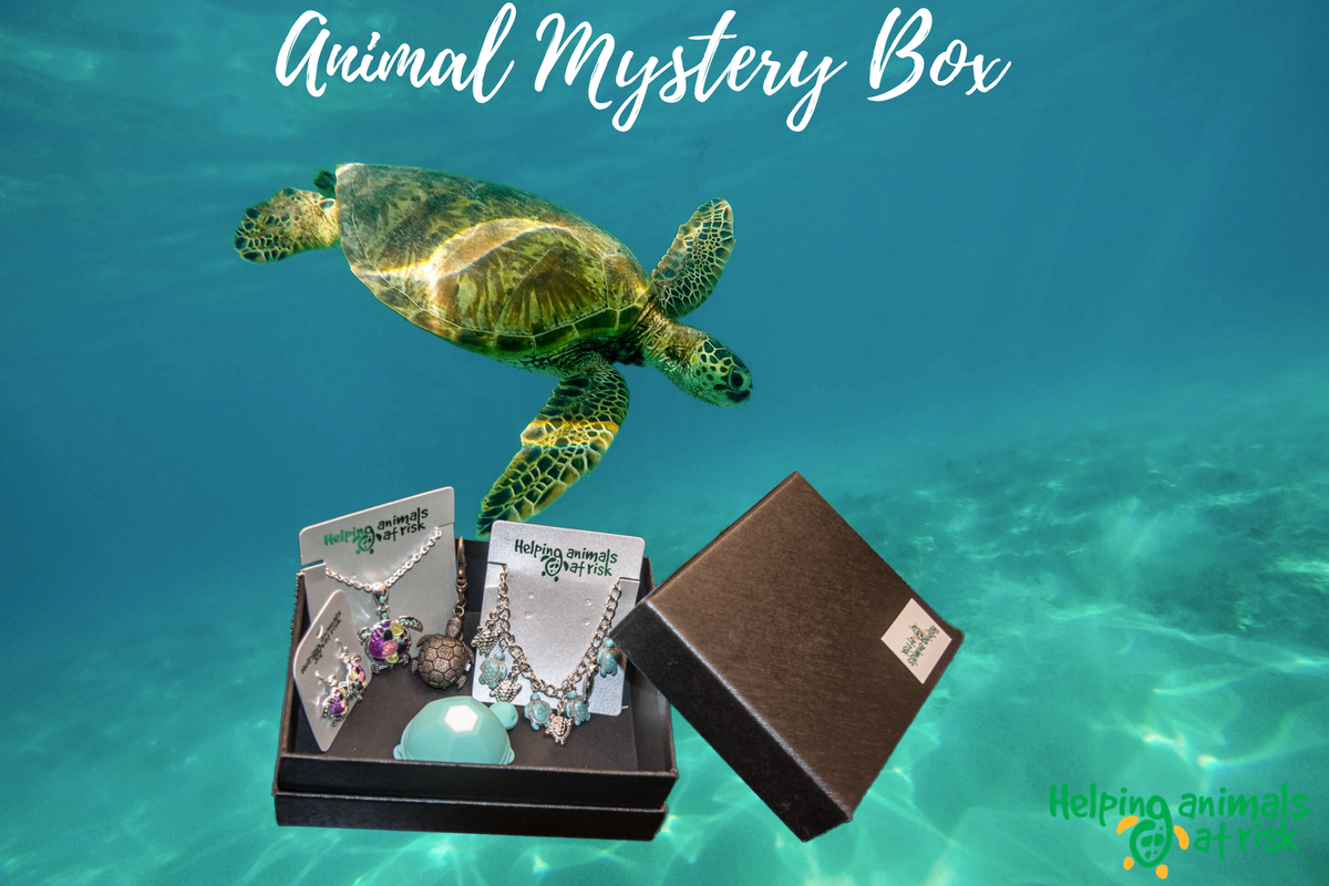 Helping Animals At Risk Animal Mystery Box