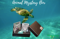 Helping Animals At Risk Animal Mystery Box