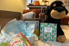 Children's Activity Books (Elementary school age)