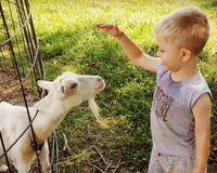 Goat Milk Soap & Lotion of the Month