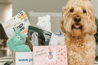 Pooch Perks Dog Box
