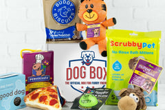 Variety of premium dog treats, toys (animals and pizza), and accessories (grooming, potty, clothes). 