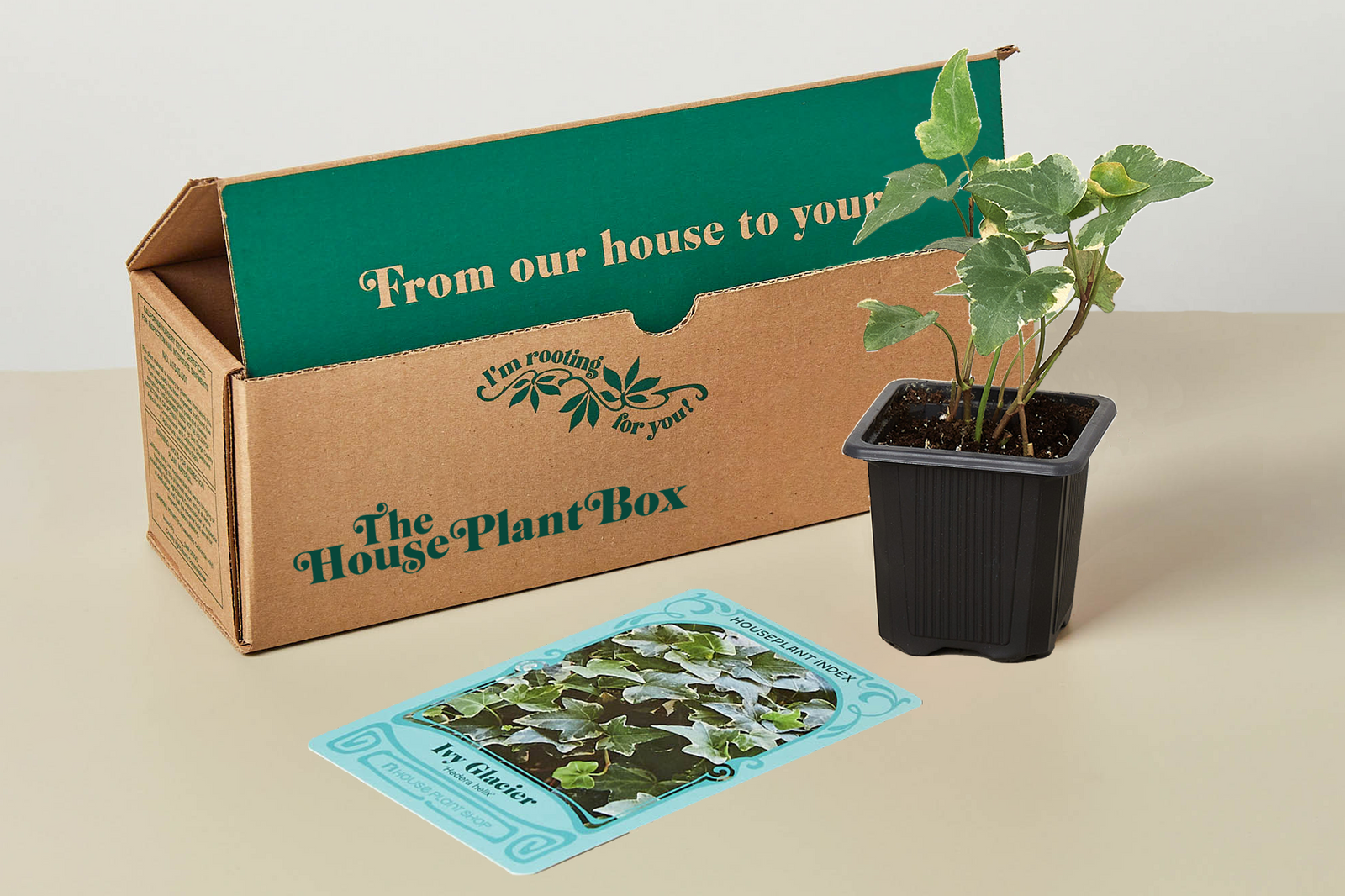 house plant selector House Plant Box