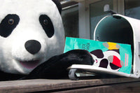 Sock Panda - Women's Sock Subscription - Amazing and Original Sock Panda Designs Delivered Monthly