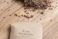 Pink kale sprouts are sprawling on a wooden background. The top of a brown paper Sproutie seed packet is seen at the bottom.