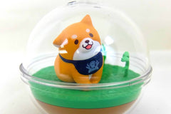 Gacha Gacha Crate