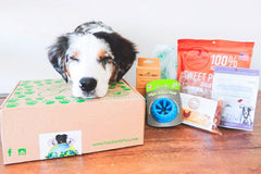 Pure Earth Pets Eco Friendly Dog Box